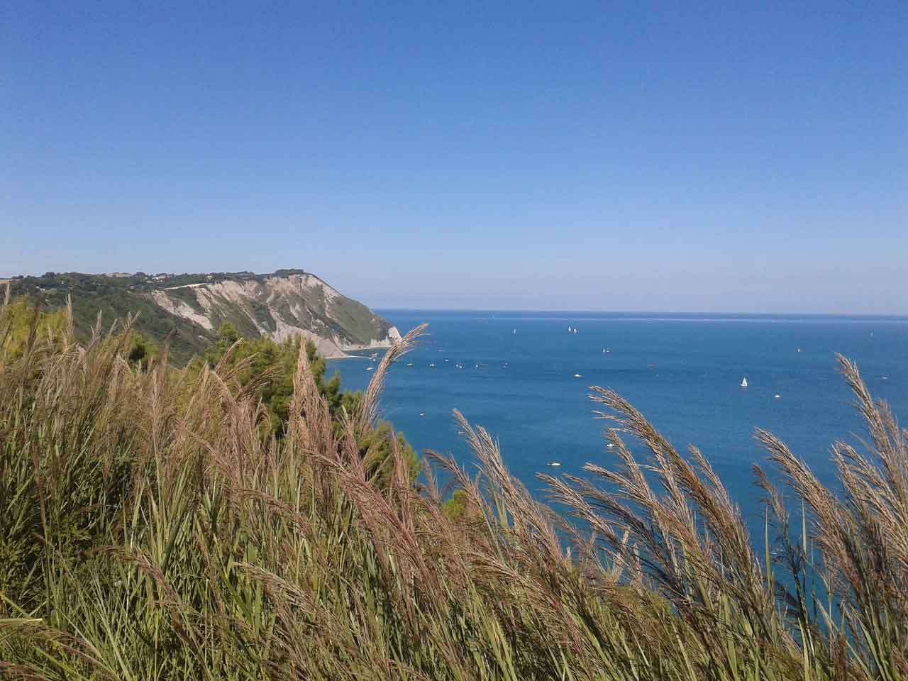 Marche